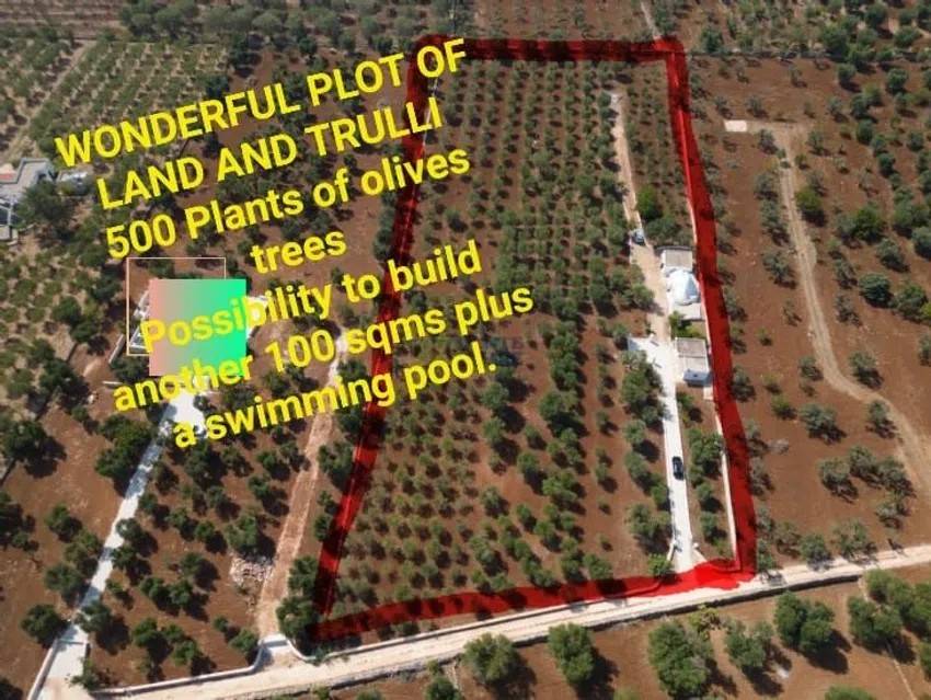 Rustico / casale a Ostuni in Contrada Guappi Falghero - Foto 2