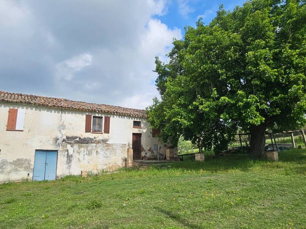 Rustico / casale a Mondavio in Località Sant'Andrea di Suasa - Foto 4