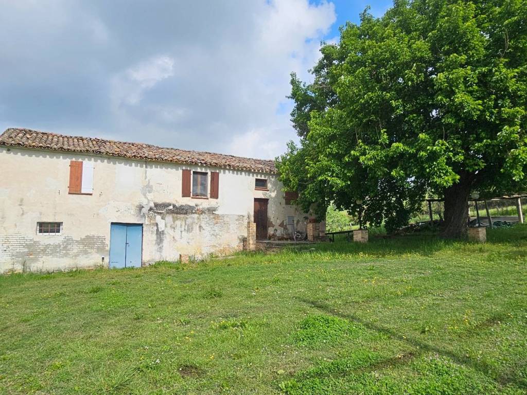 Rustico / casale a Mondavio in Località Sant'Andrea di Suasa - Foto 5