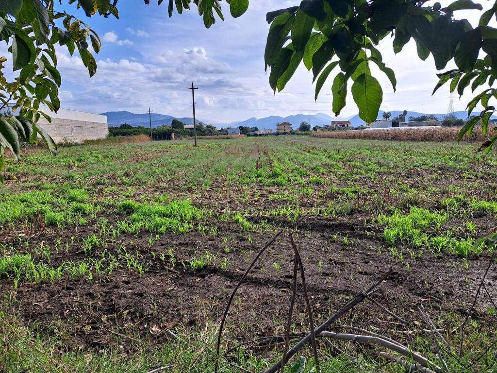 Terreno a Maddaloni in Via Napoli - Foto 3