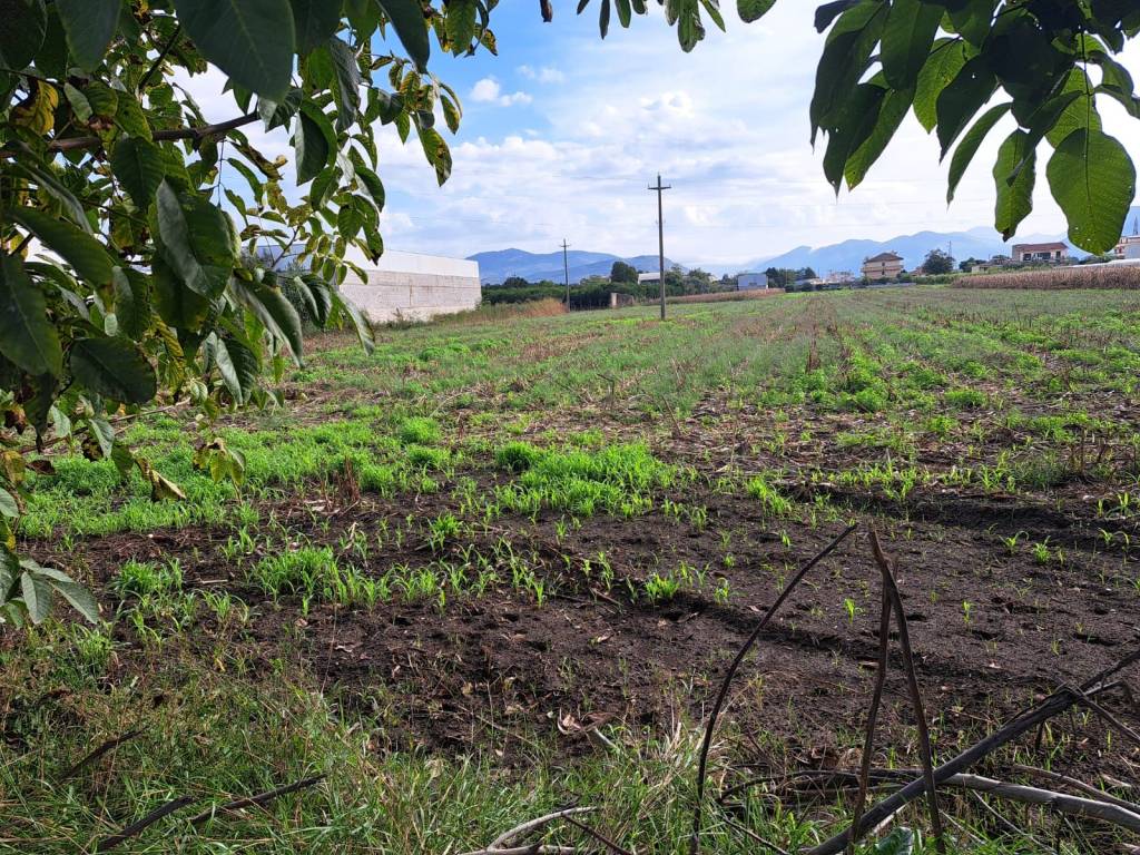 Terreno a Maddaloni in Via Napoli - Foto 4