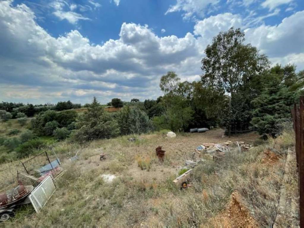 Terreno a Montescaglioso - Foto 2