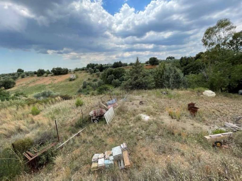 Terreno a Montescaglioso - Foto 3