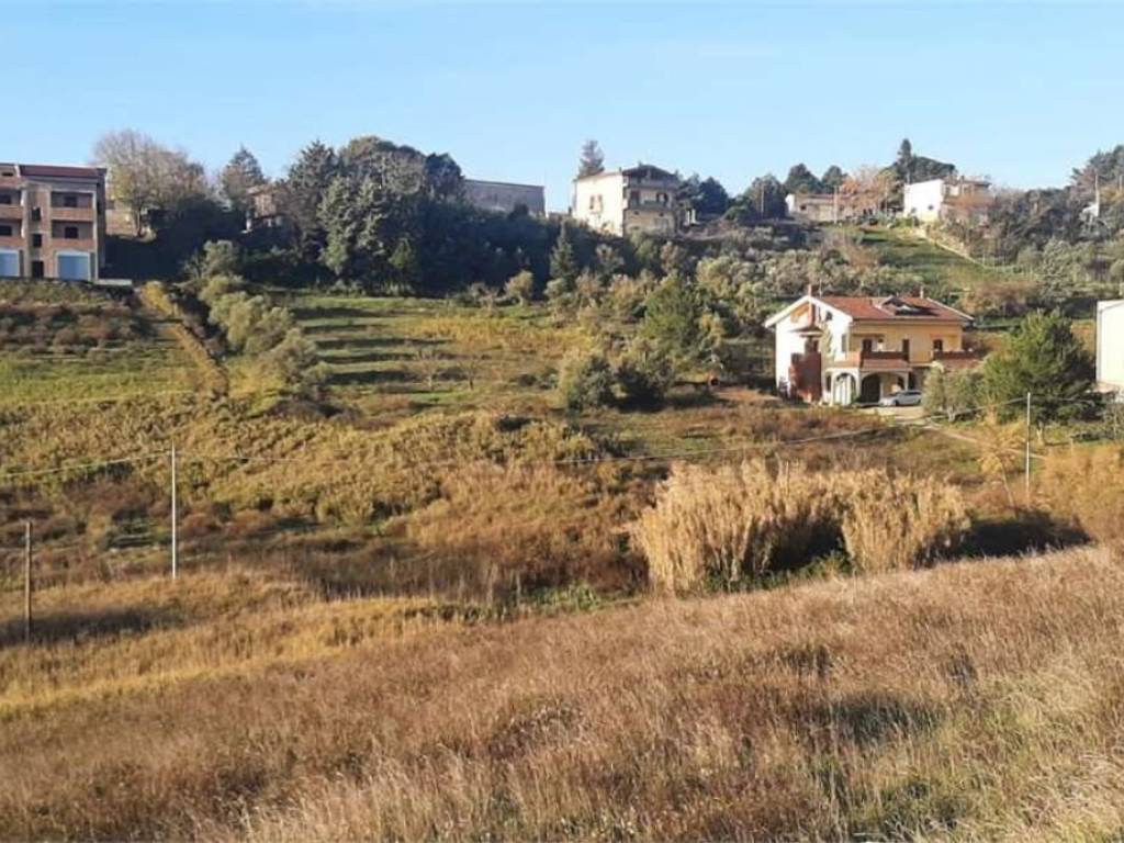 Terreno a Montescaglioso - Foto 2