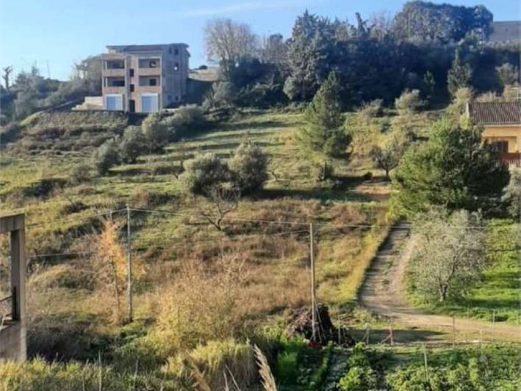 Terreno a Montescaglioso - Foto 5