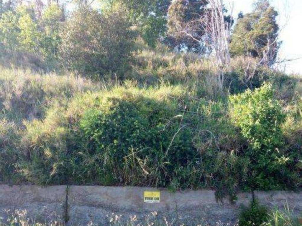 Terreno a Montescaglioso - Foto 2