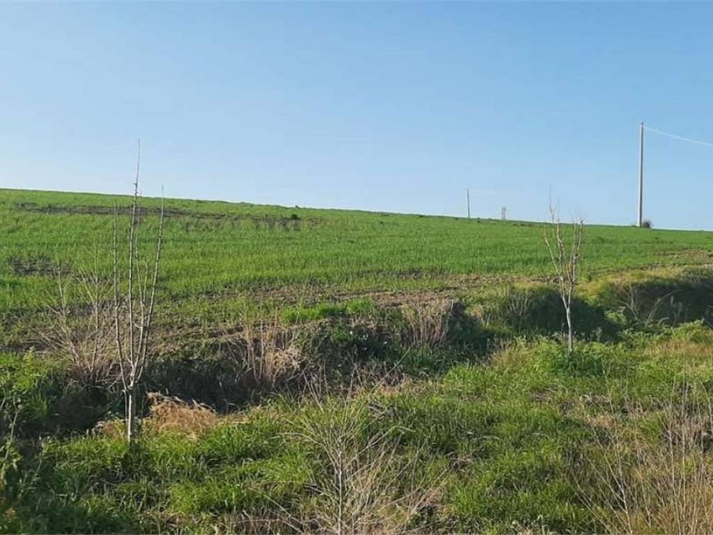 Terreno a Montescaglioso - Foto 4
