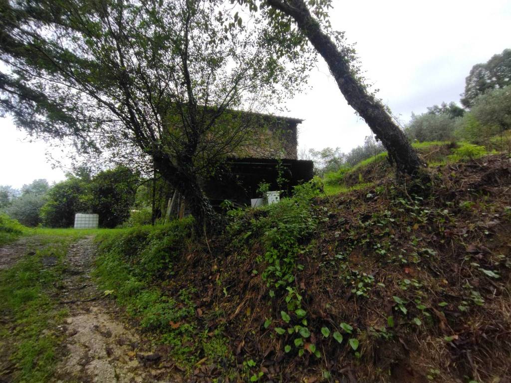 Rustico / casale a Camaiore - Foto 3