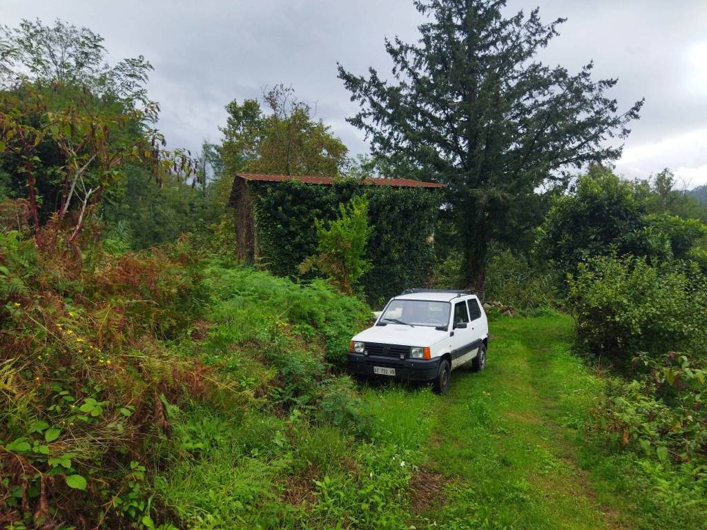 Rustico / casale a Camaiore - Foto 4