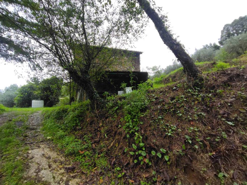 Rustico / casale a Camaiore - Foto 5