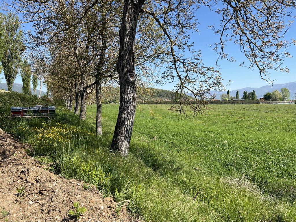 Terreno a Rieti in Via Comunali - Foto 5