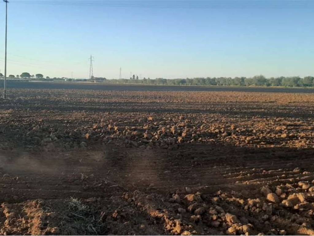 Rustico / casale a Ginosa - Foto 3