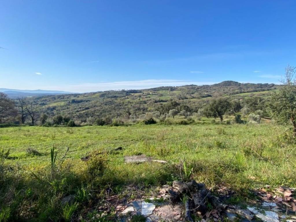 Rustico / casale a Roccastrada - Foto 4