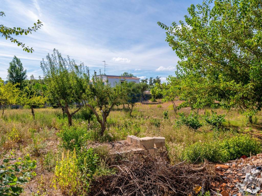 Villa a Ostuni in Contrada Ramunno - Foto 4