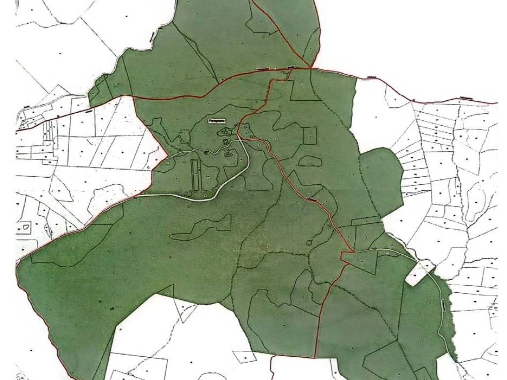 Terreno a Montecastrilli - Foto 2