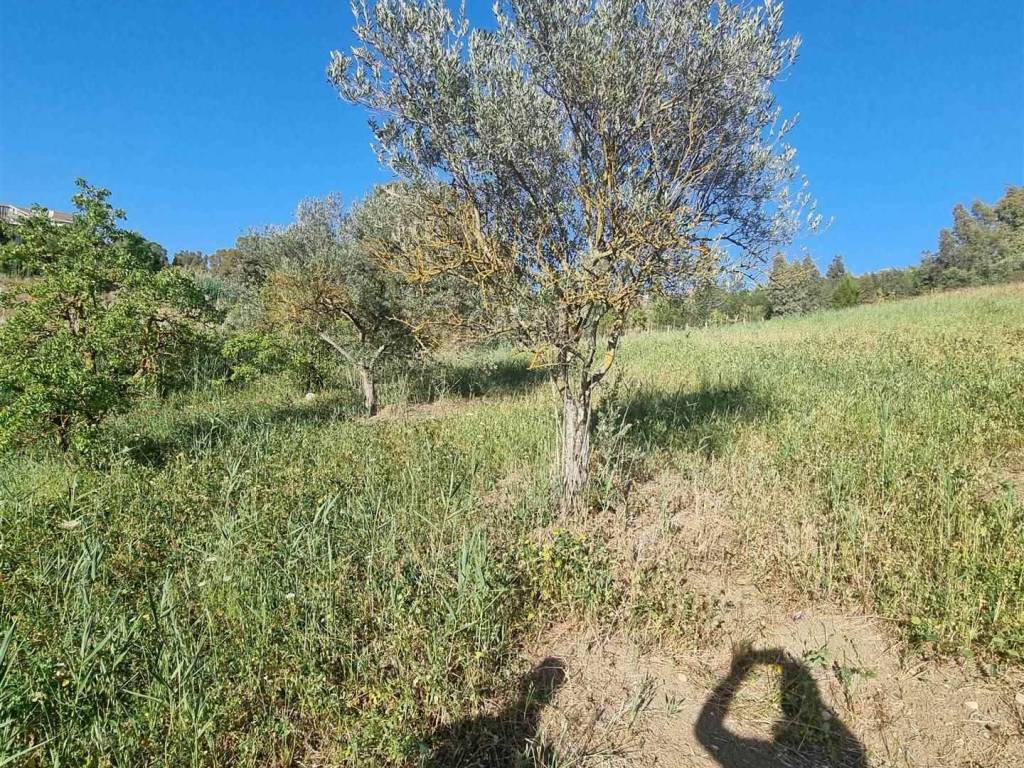 Terreno a San cataldo in babbaurra - Foto 4