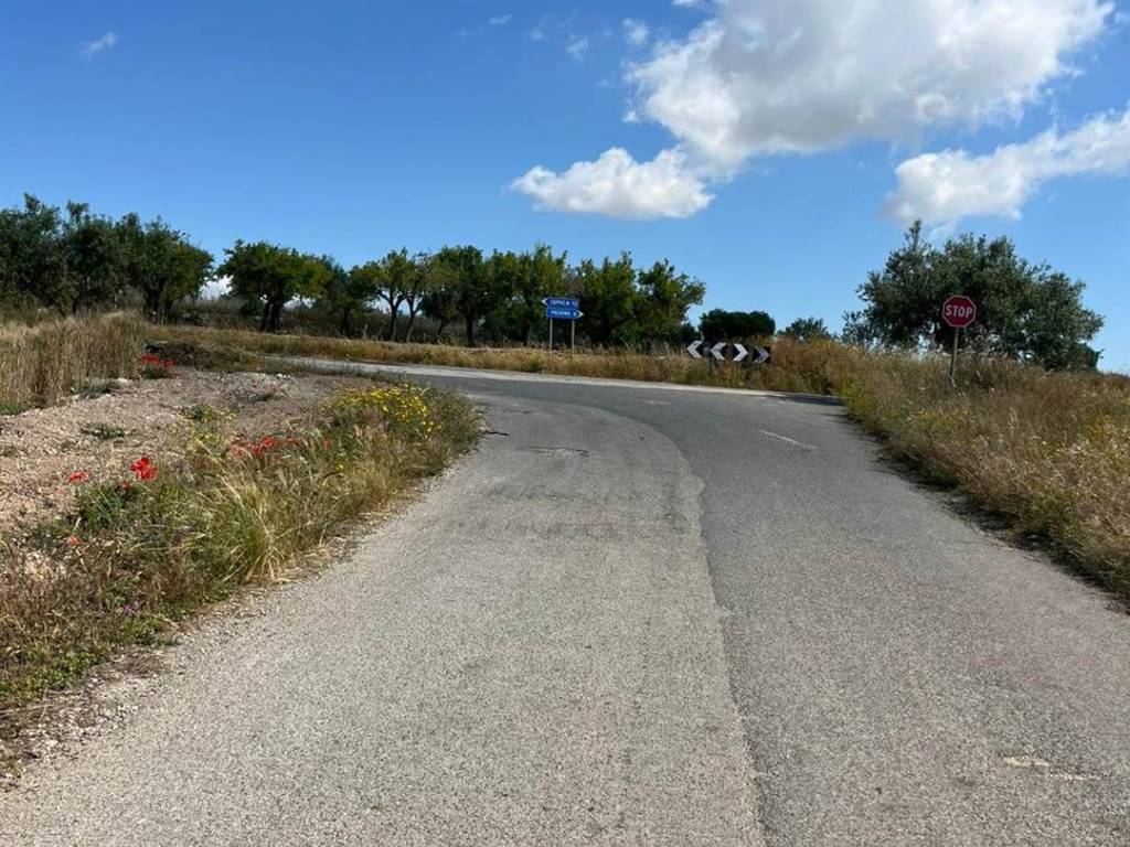 Terreno a Noto in Burgio - Foto 4
