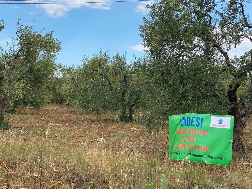 Terreno a Matera in Strada Provinciale Matera Grassano - Foto 2