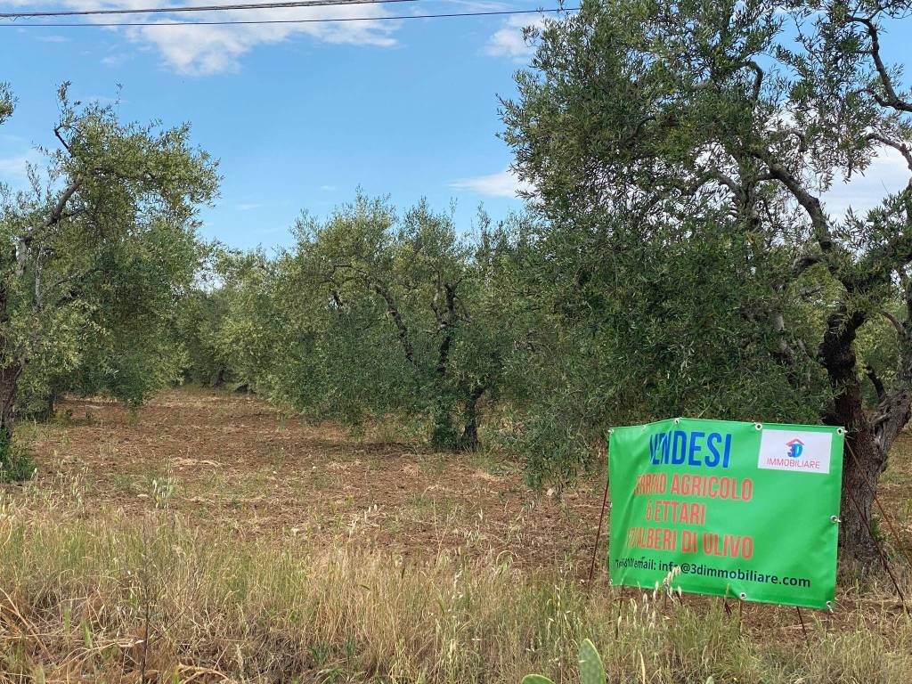 Terreno a Matera in Strada Provinciale Matera Grassano - Foto 3