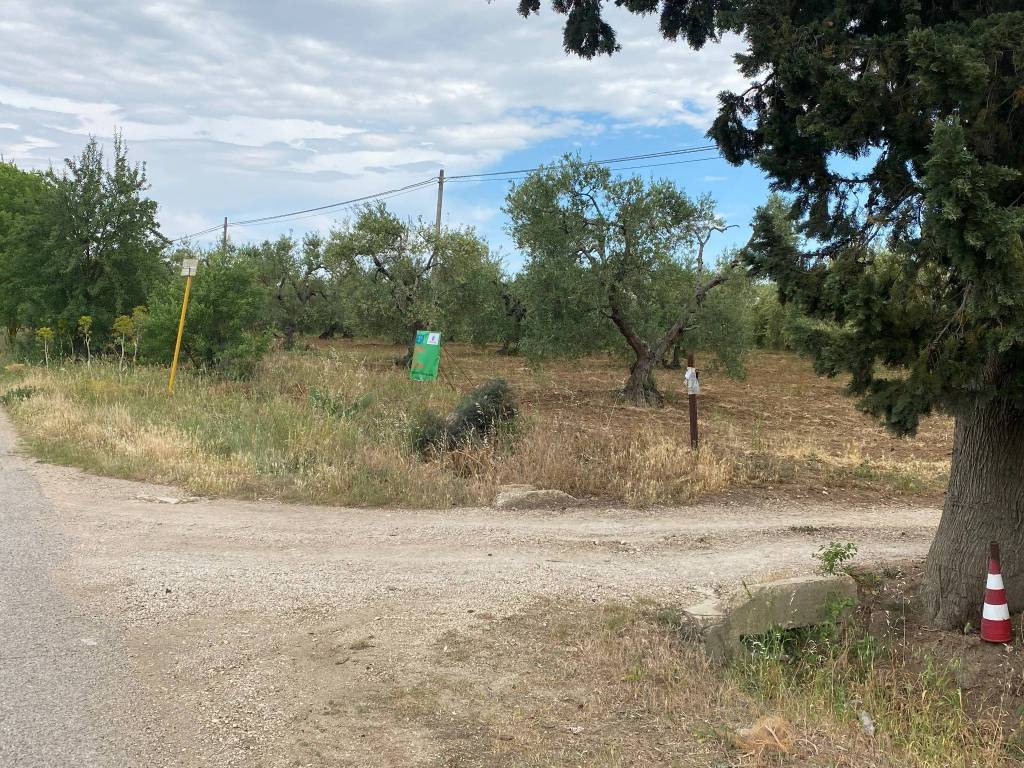 Terreno a Matera in Strada Provinciale Matera Grassano - Foto 5