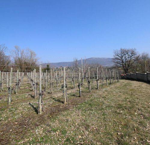 Terreno a San floriano del collio in Località Asci - Foto 4