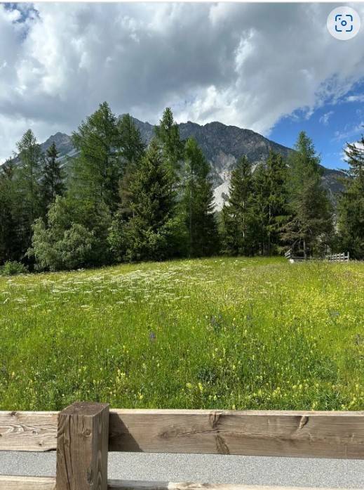 Terreno a Valdidentro - Foto 5