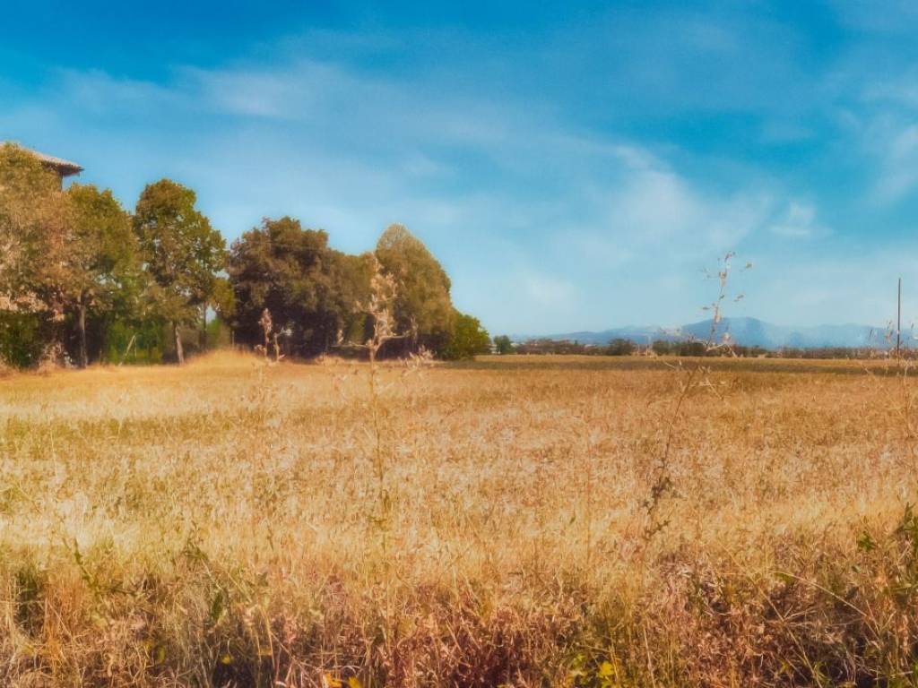 Rustico / casale a Casalnoceto - Foto 4