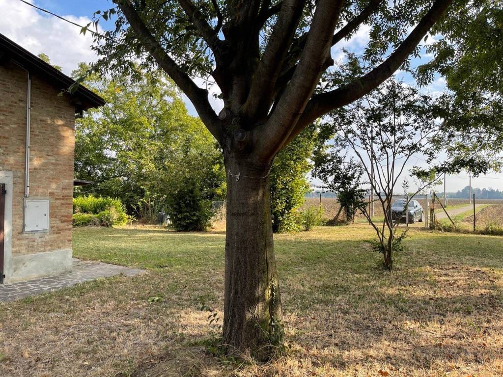 Villa a Castelnuovo rangone - Foto 5