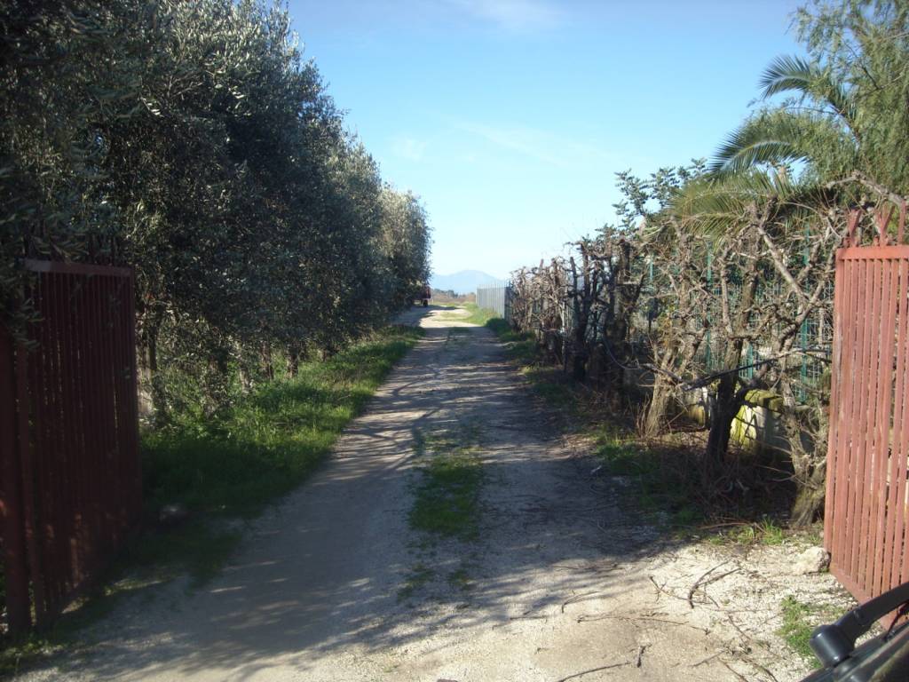 Terreno a Eboli in Contrada Fiocche - Foto 2