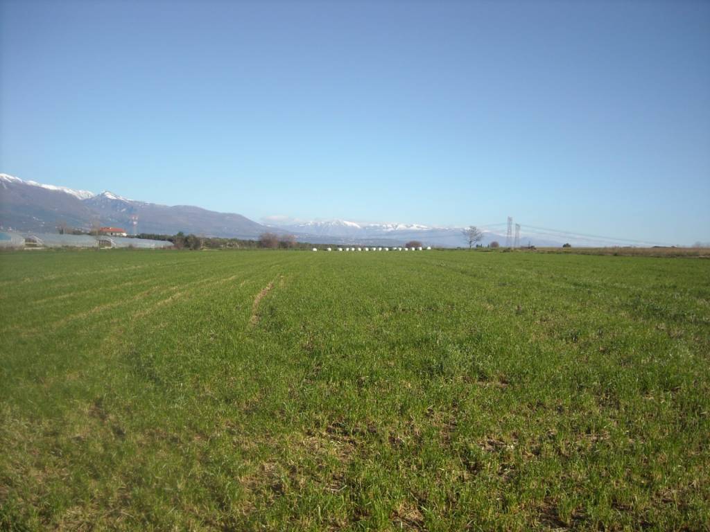 Terreno a Eboli in Contrada Fiocche - Foto 3