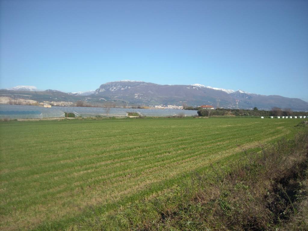 Terreno a Eboli in Contrada Fiocche - Foto 4