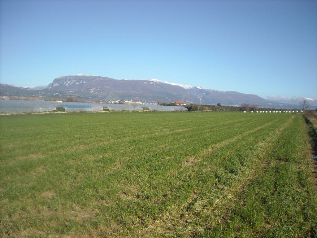 Terreno a Eboli in Contrada Fiocche - Foto 5
