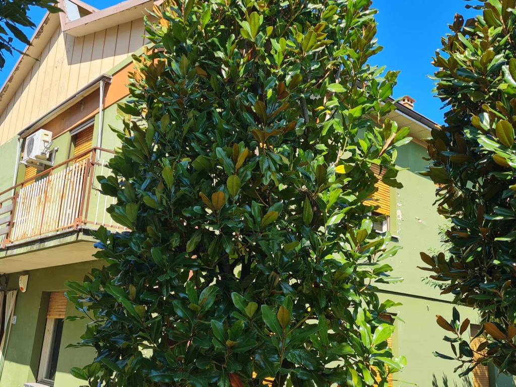 Villa a Castelvetro di modena in Via Palona, 35 - Foto 2
