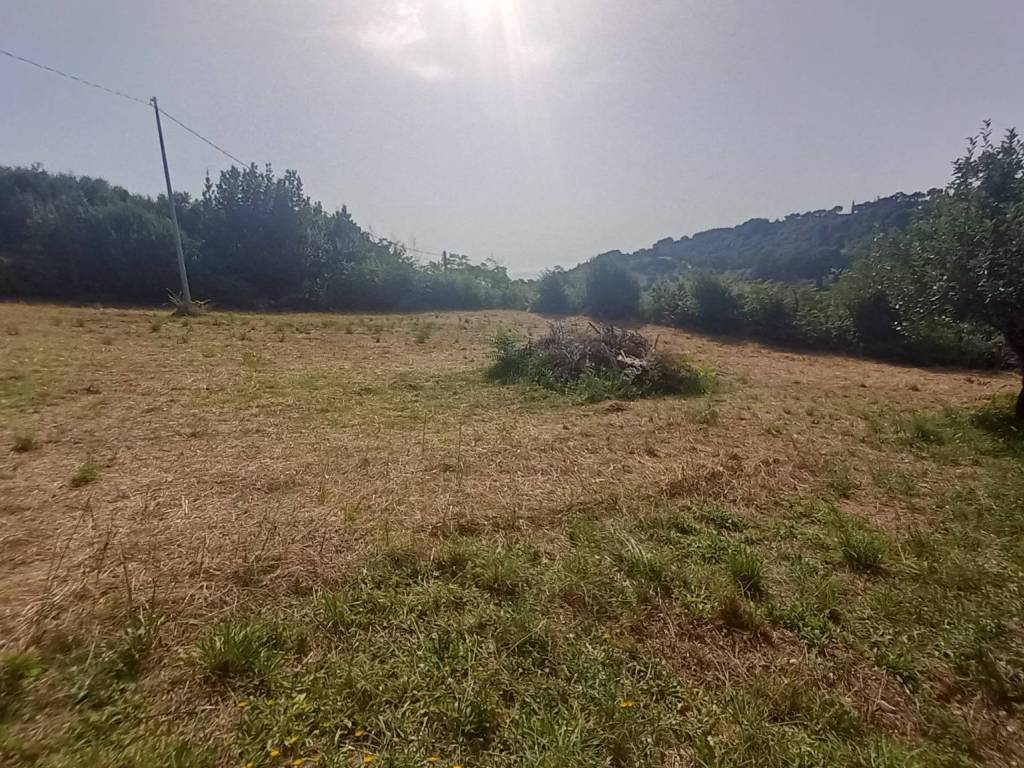 Terreno a Campofilone in Contrada Marina - Foto 2