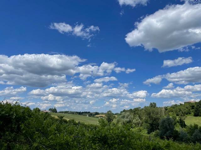 Rustico / casale a Castelvetro di modena in Via Spagna - Foto 4
