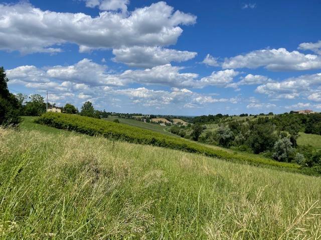 Rustico / casale a Castelvetro di modena in Via Spagna - Foto 5
