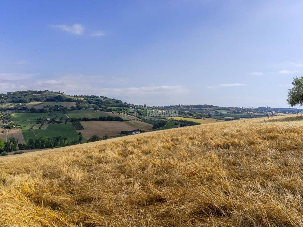 Terreno a Civitanova marche - Foto 5