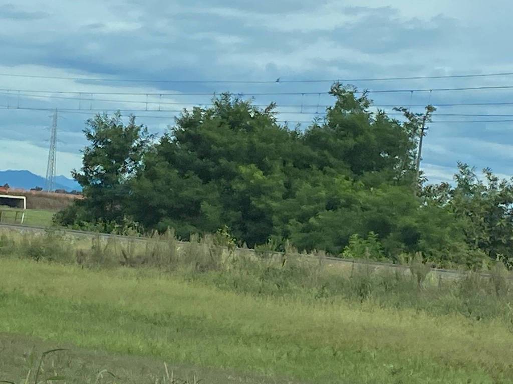 Terreno a Novara in Via Adolfo Boroli - Foto 3