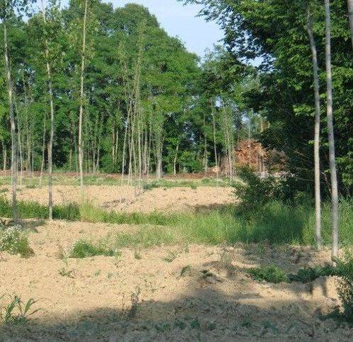 Rustico / casale a Massanzago - Foto 3