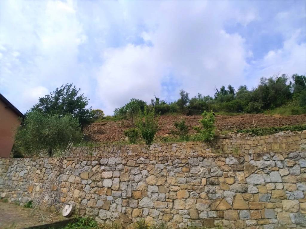 Terreno a Dolceacqua in dolceacqua - Foto 3