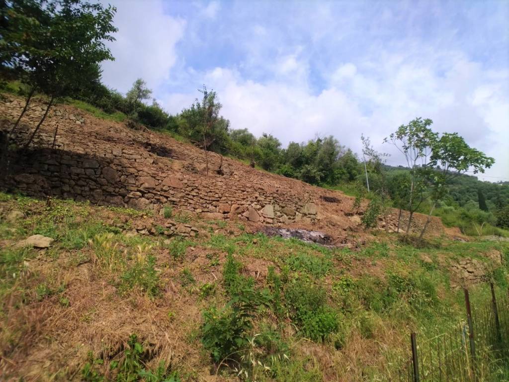 Terreno a Dolceacqua in dolceacqua - Foto 4
