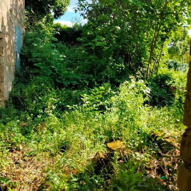 Rustico / casale a Sant'agata de' goti - Foto 5