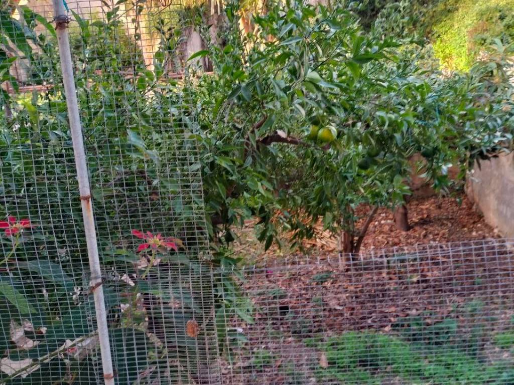 Appartamento a Erice in Via Argenteria - Foto 3