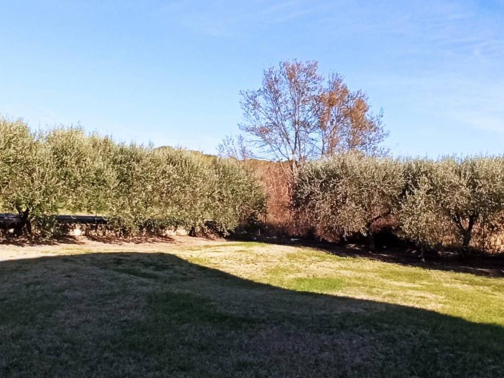 Rustico / casale a Treia in Contrada Chiaravalle - Foto 3