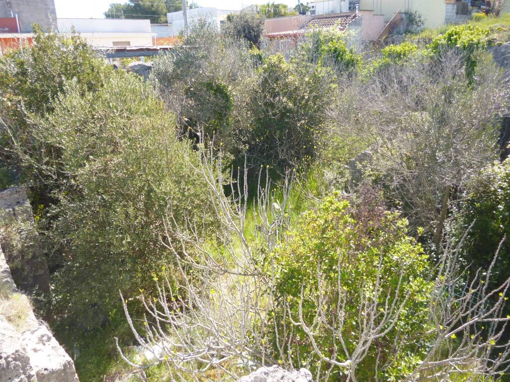 Terreno a Nardò in Via Filippo Brunelleschi - Foto 4