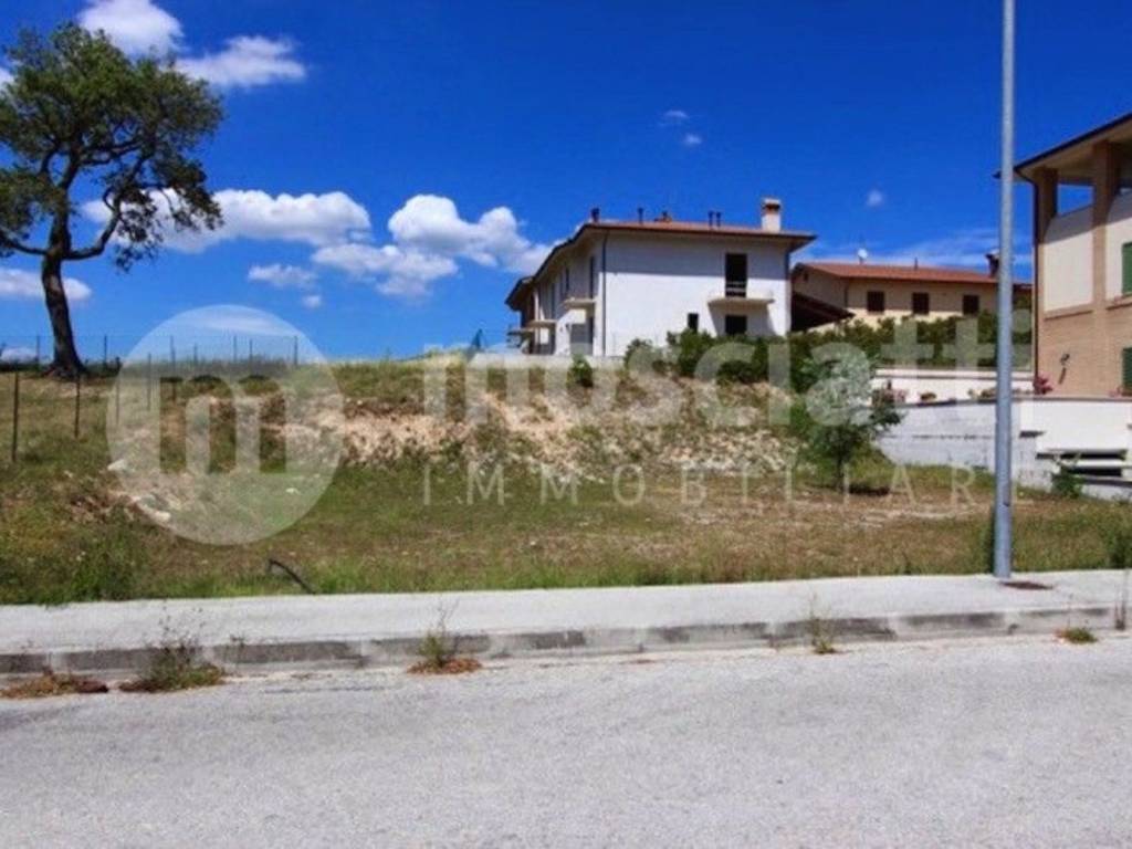 Terreno a Matelica in Provinciale 256 Muccese - Foto 3