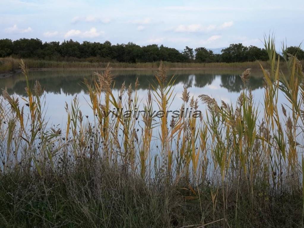 Terreno a Castiglione del lago - Foto 2