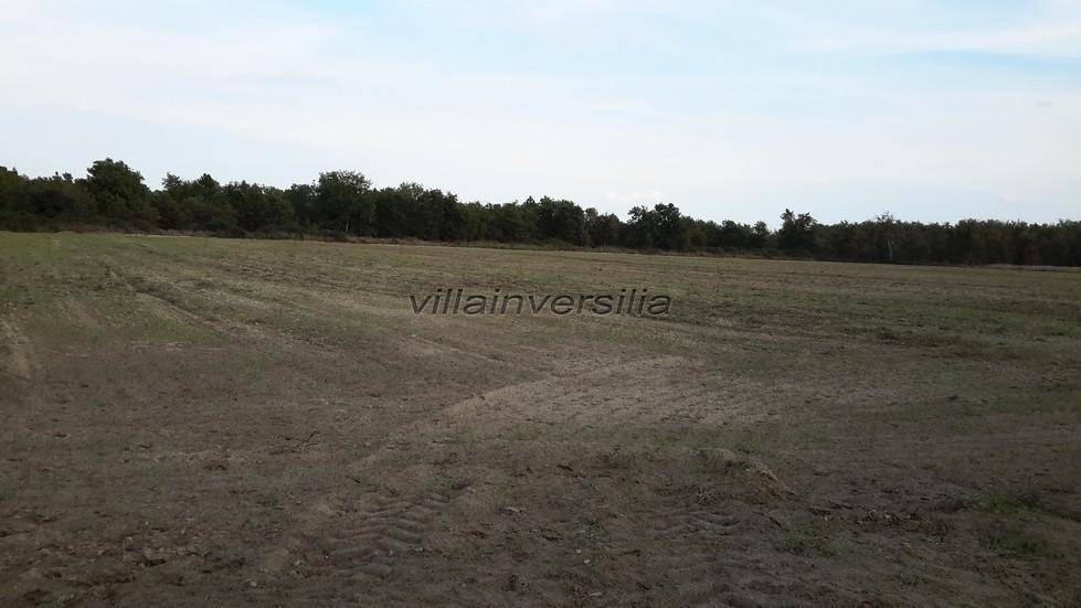 Terreno a Castiglione del lago - Foto 4