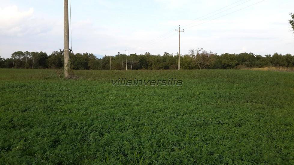 Terreno a Castiglione del lago - Foto 5