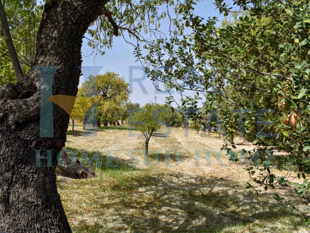 Villa a Noto in Via Tommaso Fazello, 228 - Foto 4